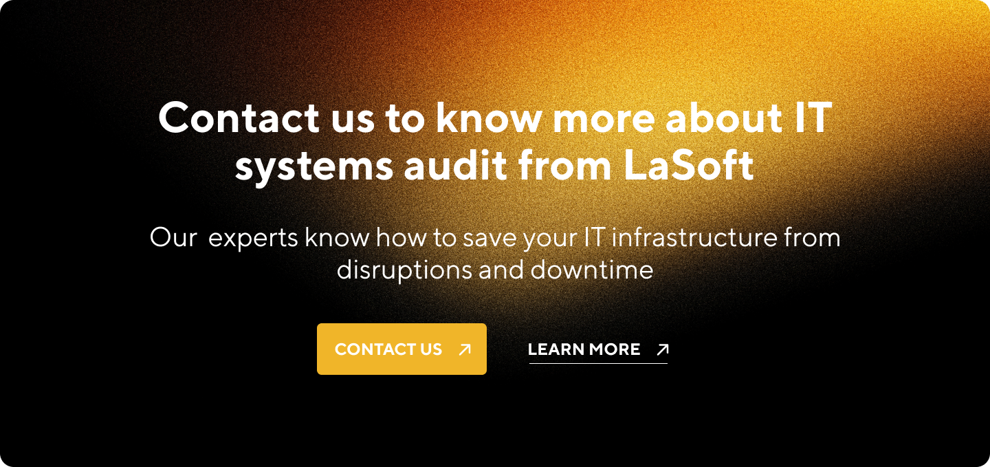 data management and comprehensive risk assessment while audit IT systems with Lasoft