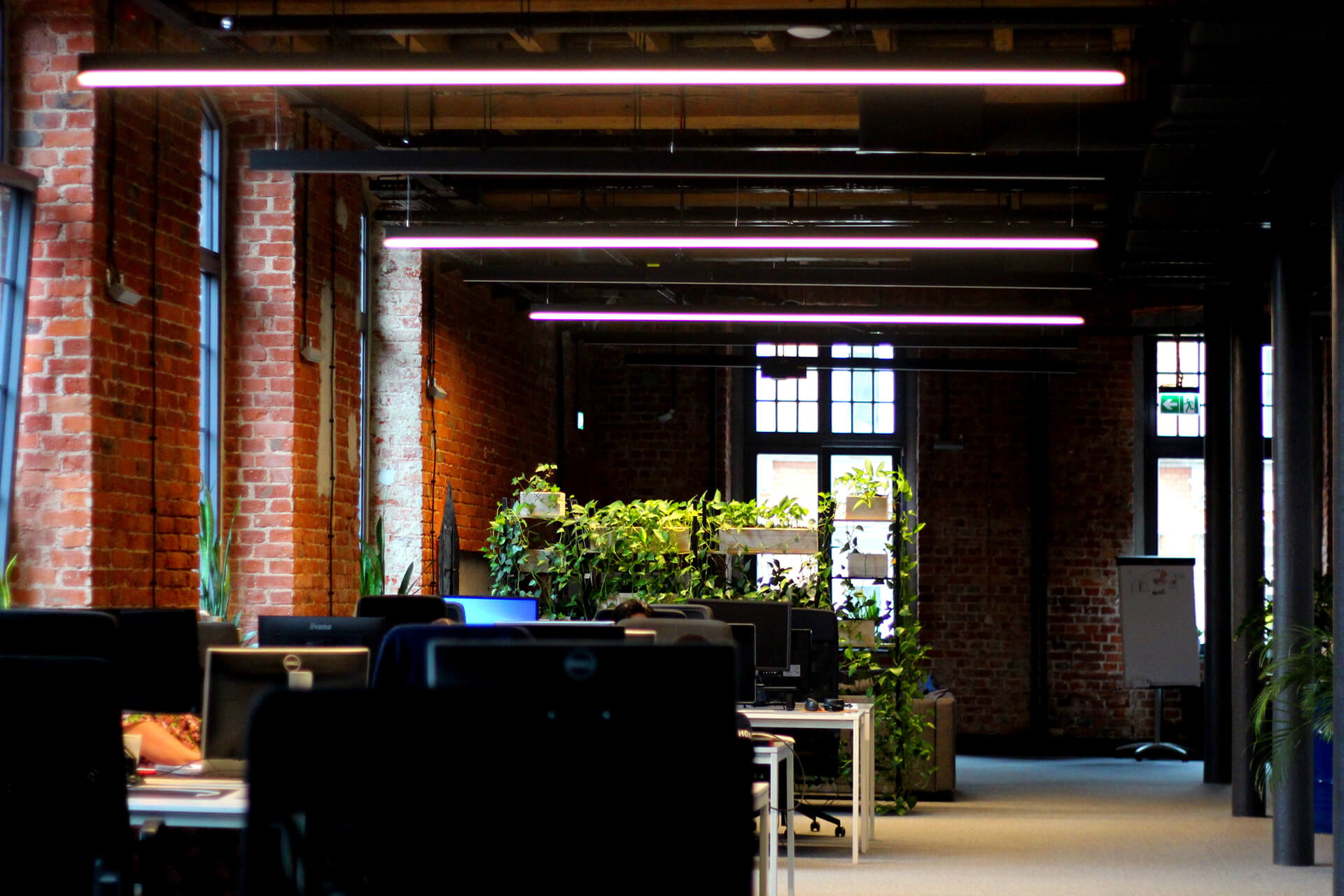 Bookshelves and chairs